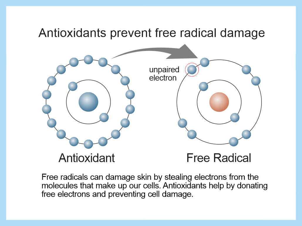 radical skin damage