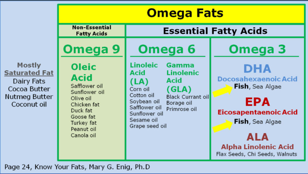 when-is-the-last-time-you-checked-your-oil-fish-oil-medical